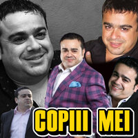 Tu vi si pleci cand vrei - Adrian Minune