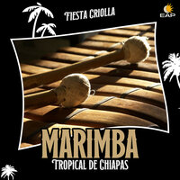 LO que no pudo ser - Marimba Tropical De Chiapas
