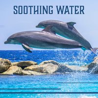 Pure Nature Sounds - Healing Waters Zone