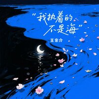 我执着的不是海 - 王宗介