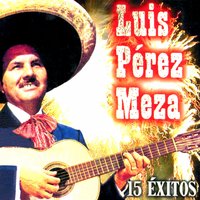 Copa de Vino - Luis Perez Meza