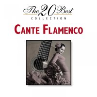 Que Te Quise y Que Te Quiero - Pepe Pinto