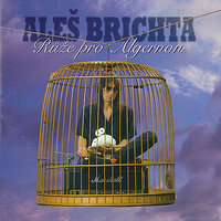 12 Klíčů - Aleš Brichta