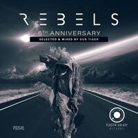 Respond - Anna Tur