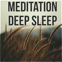 Good Night - Deep Sleep Hypnosis Masters