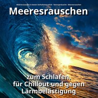 Atmo am Meer zum Lernen - Meeresrauschen in bester Aufnahmequalität & Naturgeräusche & Meeresrauschen