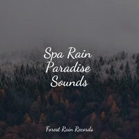 River, Close, Birds, Forest - Sounds of Nature for Deep Sleep and Relaxation & Relaxing Sounds of Nature & Meditação Yoga