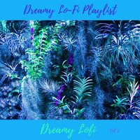 No Not That One - Dreamy Lofi