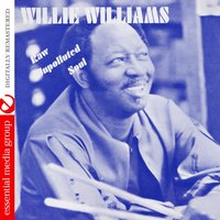 Back to Mississippi - Willie Williams