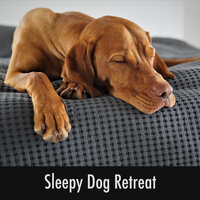 Misty Puppy Hugs - Dog Sleep Relaxation