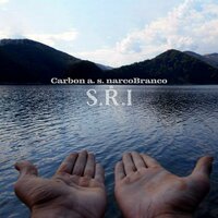 Big Brother - Carbon A.s. Narcobranco