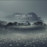Hidden - Analog Age