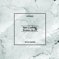 Satisfaction - Ian Ludvig