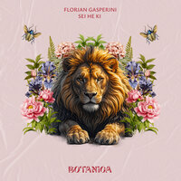 Sei He Ki - Florian Gasperini