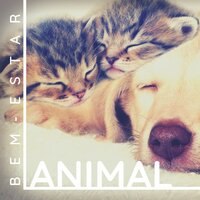 Bem-estar Animal - Ansiedade Tratamento