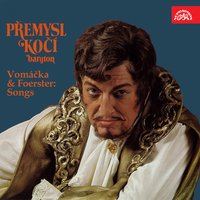 Zářivé dni, Op. 69, .: Útěcha noci - Premysl Koci & Alfred Holecek