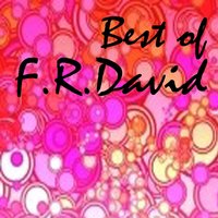 Words - F.R. David