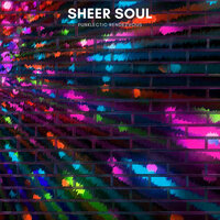 Funklectic Rendezvous - Sheer Soul
