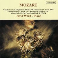 Allegro in G Minor, K.312/590d - David Ward & Вольфганг Амадей Моцарт
