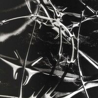 Alevler - DIAM