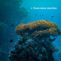 Son sous-marin - Musique Coeur de la Nature