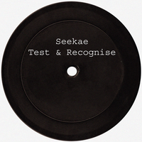 Test & Recognise - Seekae & Flume