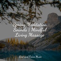 Daybreak Symphony - Anxiety Relief & Meditation & Stress Relief Therapy & Sleep Music