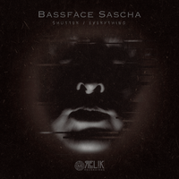 Everything - Bassface Sascha