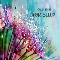 Calm Rain for Sleep, Pt. 30 - Sleep Sounds Of Nature