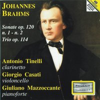 Sonata No. 1 in Fa minore, Op. 120: Allegretto grazioso - Giorgio Casati & Giuliano Mazzoccante & Antonio Tinelli, Giorgio Casati, Giuliano Mazzoccante & Antonio Tinelli & Иоганнес Брамс