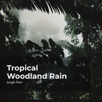 Wildlife Rain Harmony - Nature and Rain & Deep Rain Sampling & Jungle Rain
