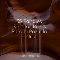 Vientos Acariciadores - Música Zen Relaxante & Música Instrumental Maestro & Musicas Crianças
