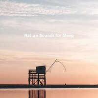 Night Time Noises - White Noise for Babies & White Noise Baby Sleep & deep sleep music collective