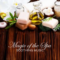Completely Relieve All Stress - Therapy Spa Music Paradise