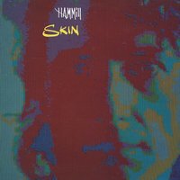 Four Pails - Peter Hammill