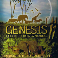 Clare et les éléphants - Carolin Petit