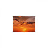 Daffodils & Stress Free - Mindfulness Healing BGM Project
