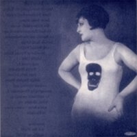 Cellophane - Jessamine