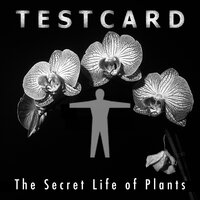 ESP - Testcard