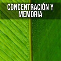 Concentración Cognitiva - Relaxing Spa Music