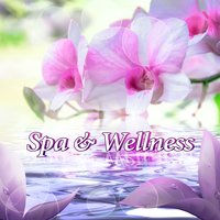 Relax, Calmness and Serenity - Beautiful Spa Collection