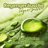 Regen Sounds - Edgar Saller