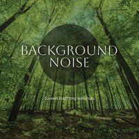 Forest Bathing Sounds, Pt. 19 - Thomas O'Reilly