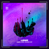 When The World Feels Grey - Leniz