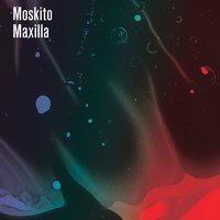 Maxilla - Moskito