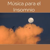Paz y Serenidad - Instrumental Jazz Música Ambiental