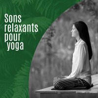 Musique Lounge - Zen Académie de Méditation
