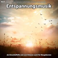 Wellness Musik - Entspannungsmusik mit sanften Klängen & Schlafmusik & Entspannungsmusik