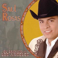 Ayer estuve con mi nuevo amor - Saul Rosas
