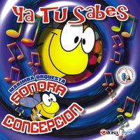 Es Mentiroso - Marimba Orquesta Sonora Concepción